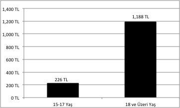 Grafik 2. Kömür ve Linyit Çıkarılması Sektöründe Çalışanların Aylık Net Geliri, 2012