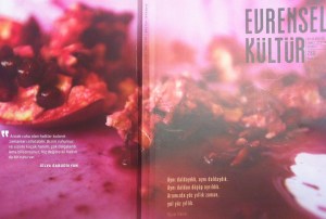 ek-kapak-tam2